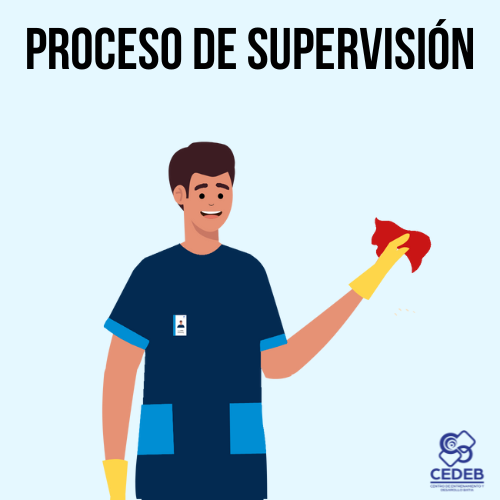 Proceso de Supervisión - General